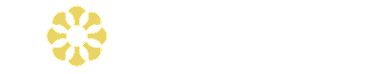  MixelionAi  Logo